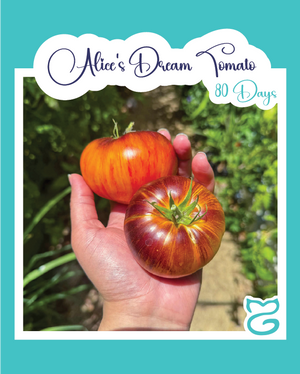 Alice's Dream Tomato