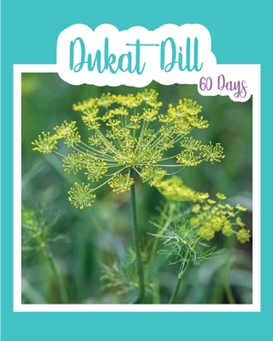 Dukat Dill