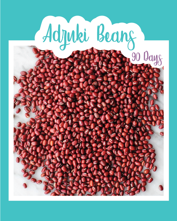 Adzuki Bush Bean