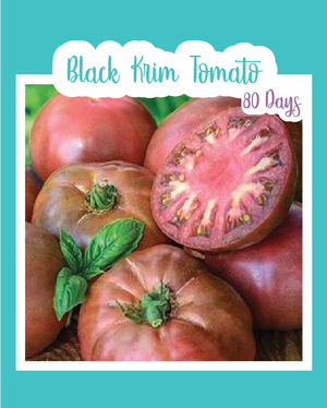 Black Krim Tomato