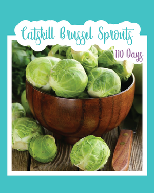 Catskill Brussel Sprouts