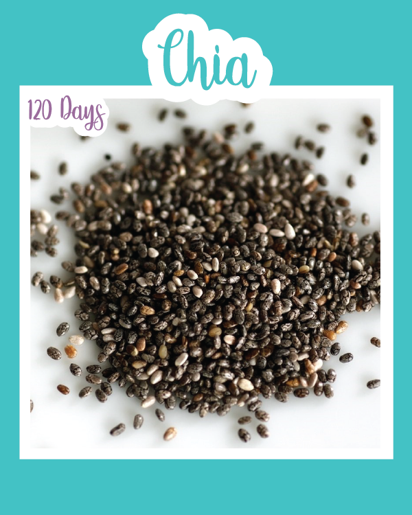 Chia