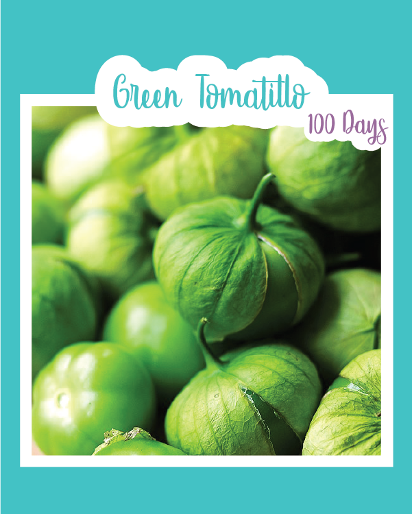 Green Tomatillo