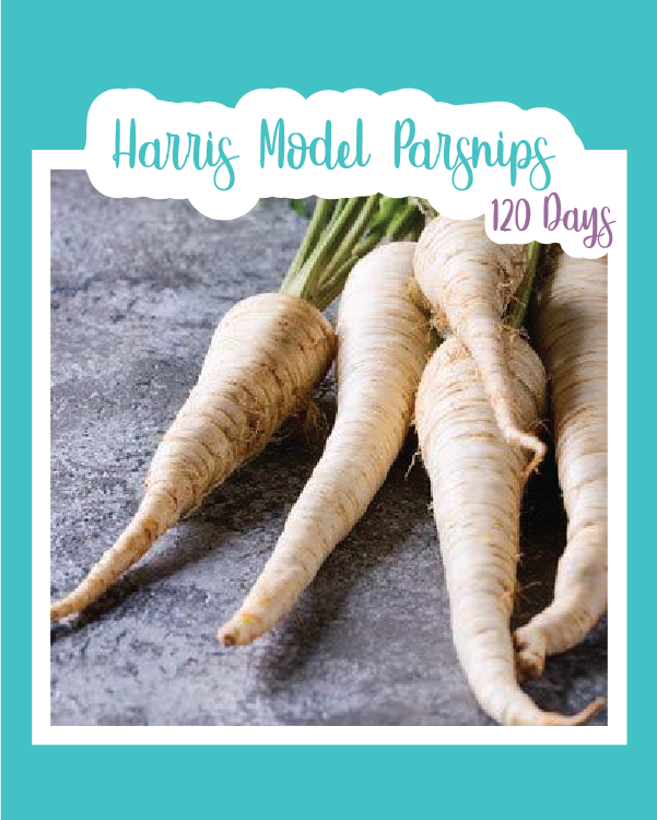 Harris Model Parsnips