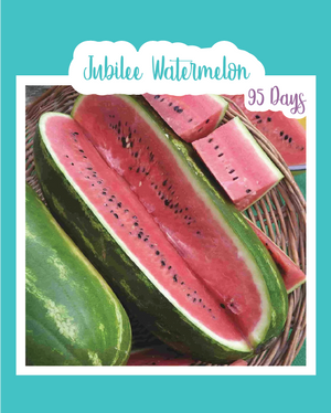 Jubilee Watermelon