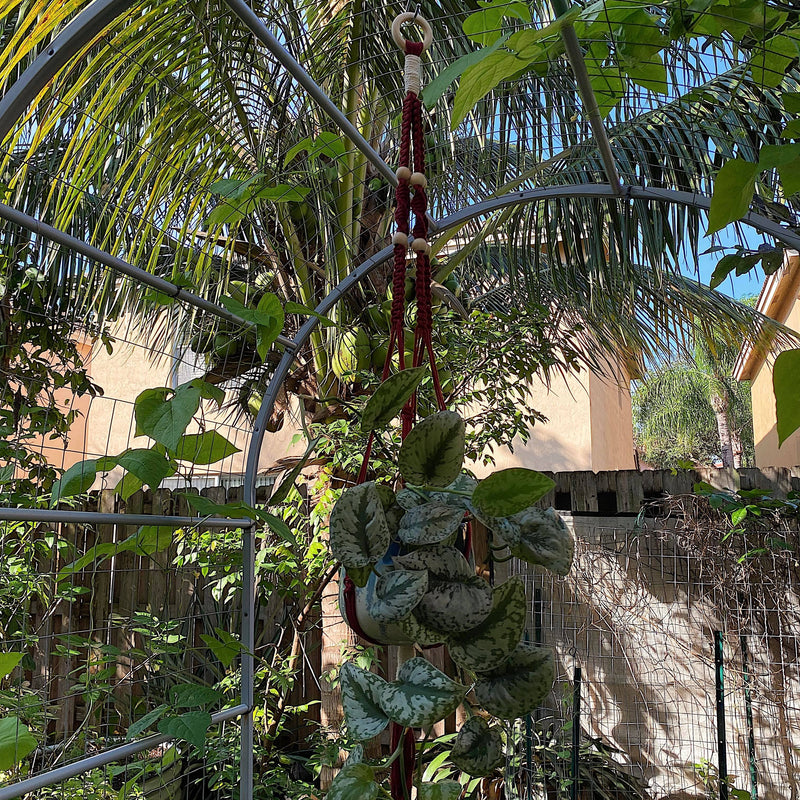 40" Black and Pink Beaded Macrame Plant Hanger