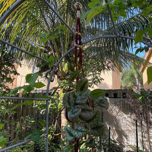 44" All White Beaded Macrame Plant Hanger