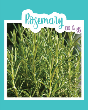 Rosemary