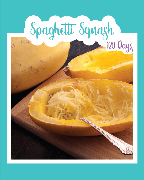 Spaghetti Squash