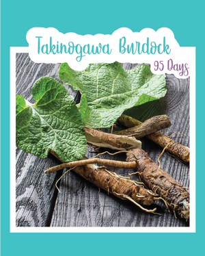 Takinogawa Burdock