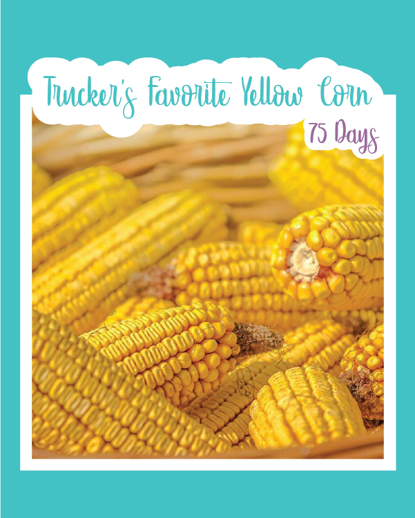 Trucker's Favorite Yellow Corn